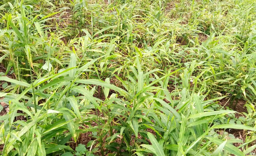 Coopérative Brisons la pauvreté