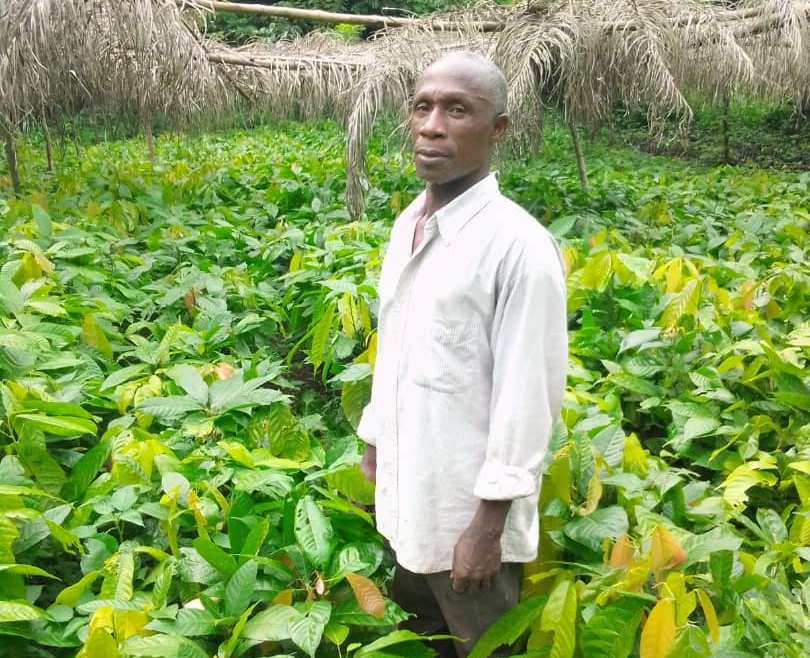 Toulassi Cocoa Farm